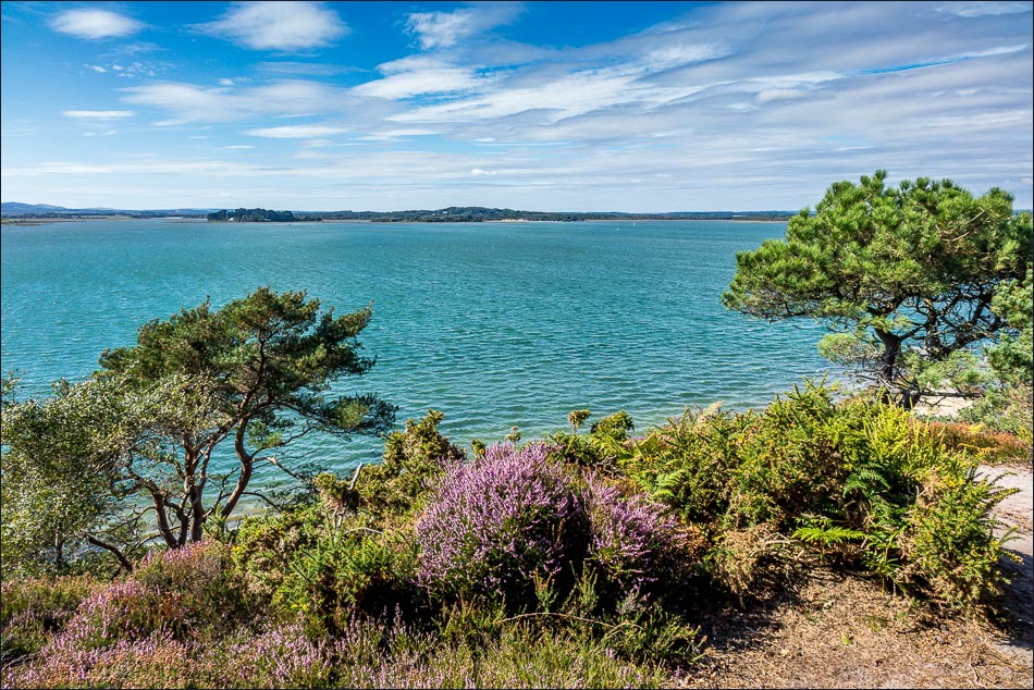 Brownsea Island Andrews Walks